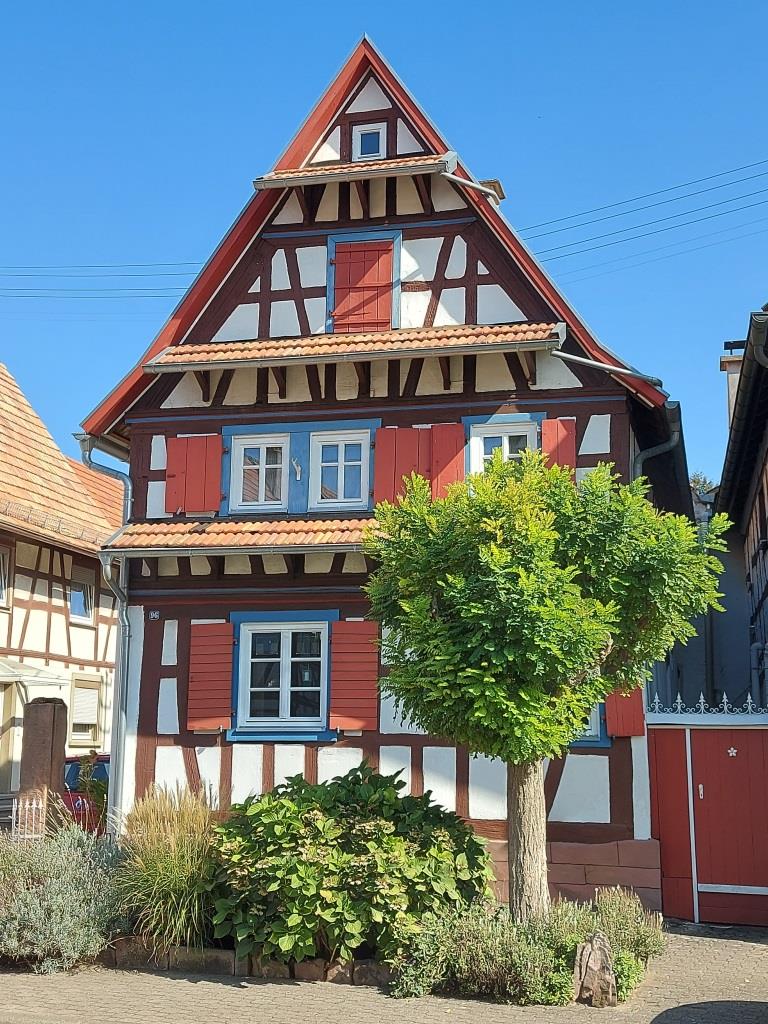 Hayna - 2020